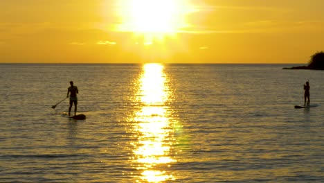 silhouette-of-Paddle-board-in-the-ocean-at-sunset,-golden-hour-Crop-Pan