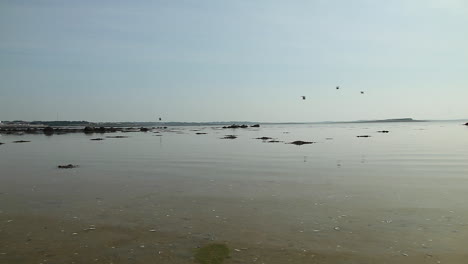 Calm-sea-at-low-tide