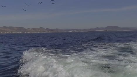 Slow-motion-gimbaled-shot-of-sea-birds-flying-over-back-of-a-small-fishing-boat