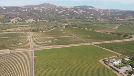 Aerial-of-Sonoma-Valley-wine-fields