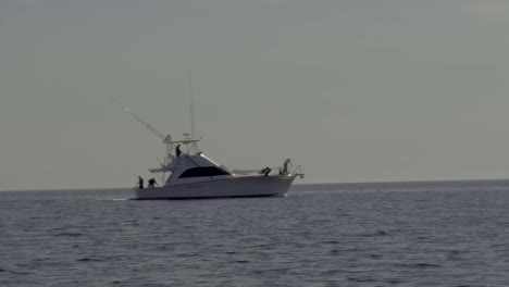 Pescando-En-El-Mar-De-Cortez-Cerca-De-Guaymas-Mexico-Como-Un-Delfín-Salta-En-La-Proa