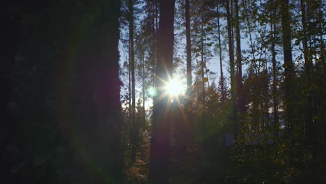 Schieberaufnahme-Des-Sonnenuntergangs-Mit-Regenbogen-Halo-Ringen-Im-Wald-In-Ruovesi,-Finnland