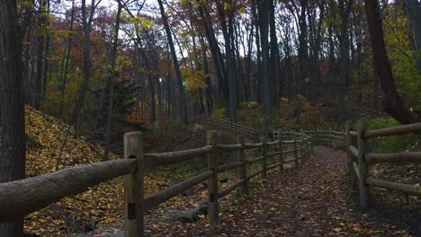 Wide-shot-of-empty-meandering-trail-path-in-fall-setting-with-light-snow-falling