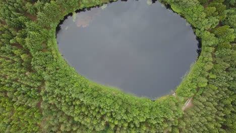 Drone-climbs-to-reveal-beautifull-egg-shaped-lake-in-the-middle-of-a-forrest