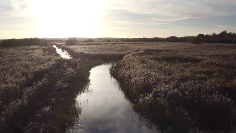 Luftbild-Low-Drifting-Shot-über-Wasser-Und-Schilf-Im-Naturreservat-Stodmarsh,-Kent,-Großbritannien,-Verwaltet-Von-Natural-England