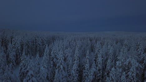 Die-Gefrorene-Winterlandschaft-Von-Hanhimaa-In-Finnland