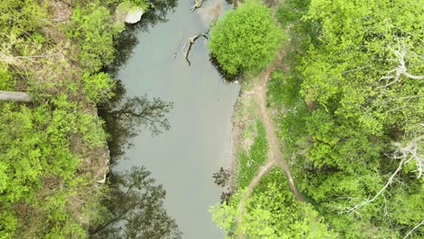 Toma-Descendente-Sobre-Un-Río-Forestal-Tranquilo-Y-Reflexivo-Rodeado-De-árboles-Altos-Y-Arbustos-En-El-Parque