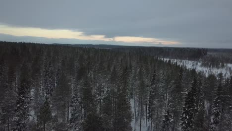 Der-Gefrorene-Wald-In-Der-Nähe-Von-Kuusamo-In-Lappland,-Finnland