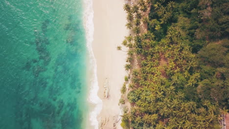 Amanwella-Beach-Südküste-Von-Sri-Lanka-Tropisches-Paradies-Ozean--Und-Sanddrohnenaufnahmen