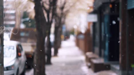 Zwei-Mädchen,-Die-In-Korea-Auf-Der-Straße-Spazieren-Und-Versuchen,-Kirschblütenblätter-Zu-Fangen,-Die-Im-Frühling-Zu-Boden-Fallen