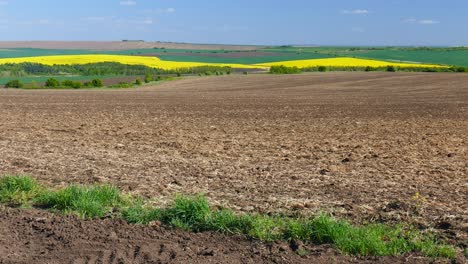 Panorama-fields-in-April