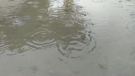 Slow-motion-of-rain-drops-falling-in-a-mud-puddle