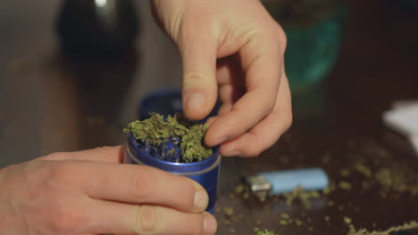Cannabis-buds-being-stuck-into-a-blue-grinder