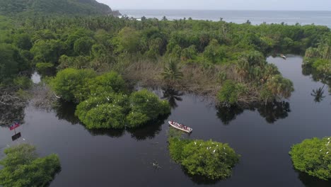 Aerial-shot-of-panga-boats-with-tourist-watching-birds-and-the-ocean-behind-the-mangrove-La-Ventanilla,-Oaxaca