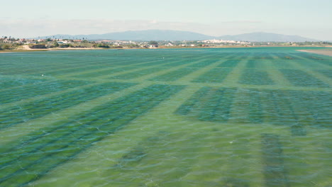 Aerial:-Aquaculture-industry-in-the-lagoon-of-Alvor-in-Portugal