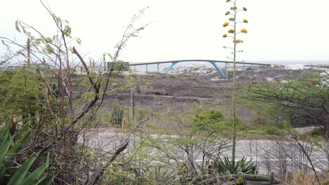 Mirando-La-Entrada-Del-Puente-Juliana-De-La-Bahía-De-Sint-Anna-Entre-La-Vegetación-Caribeña