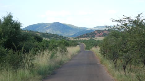 Carretera-Vacía-En-El-Parque-Nacional-Pilanesberg-En-Sudáfrica