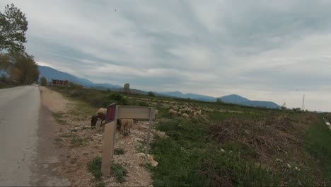 Manantial-De-Agua-De-La-Carretera,-Agua-Azul-En-El-Ojo-Azul-Cerca-De-Sarande-En-Albania,-Lugares-Cinematográficos