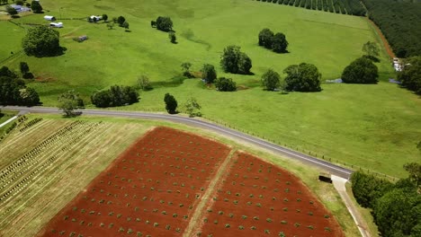 Aerial-view-of-a-red-soil-field
