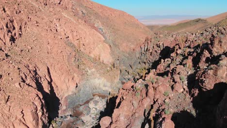 Aerial-View-near-a-popular-giant-cactus-canyon-near-San-Pedro-de-Atacama-in-the-Atacama-Desert,-northern-Chile,-South-America