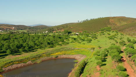 Antena:-Agricultura-En-El-Algarve,-Portugal