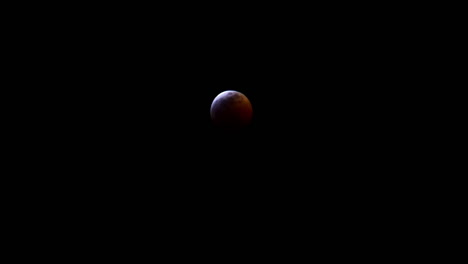 A-close-up-shot-of-the-"Super-Blood-Wolf-Moon"-over-Los-Angeles,-California-earlier-this-year
