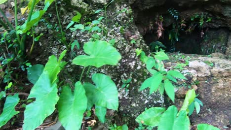 Misteriosa-Pequeña-Cueva-Escondida-En-Un-Jardín-Que-Se-Desplaza-Hacia-La-Izquierda-Para-Firmar-En-Caligrafía-Japonesa-Hiragana