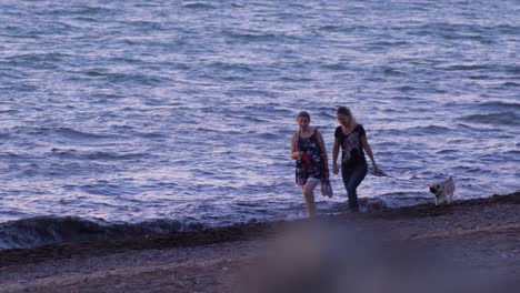 Two-young-women-with-pug-walk-along-the-calm-sea-coast-at-romantic-and-scenic-sunset,-medium-shot-from-a-distance