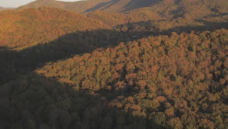 Aerial-clip-of-a-thick-forest-cover-in-autumn