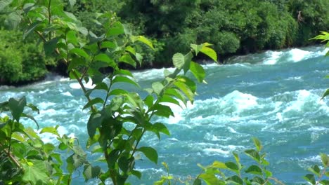 Closeup-of-the-rapids-of-Niagara
