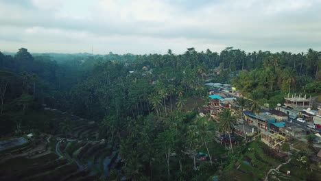 Drone-shot-flying-over-the-Tegalalang-Rice-Terraces-in-Bali,-Indonesia-on-a-beautiful-sunny-morning