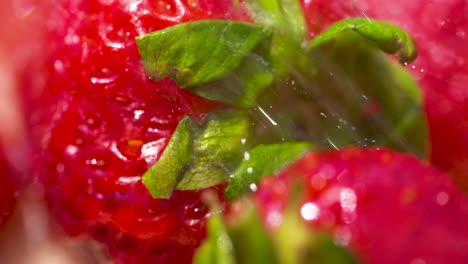 Washing-a-bunch-of-fresh,-ripe-strawberries-in-the-summer-sun