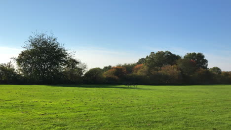 Green-field-with-parkbench-on-a-autumn-cloud-free-day