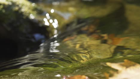 Kleiner-Fluss-Im-Wald,-Die-Bäume-Spiegeln-Sich-Im-Wasser,-Blätter-Schwimmen-Auf-Dem-Wasser