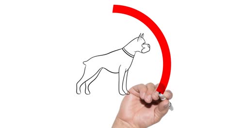 Keine-Haustiere-Unterzeichnen-Die-Hand,-Die-Hinter-Dem-Glas-Gezogen-Wird