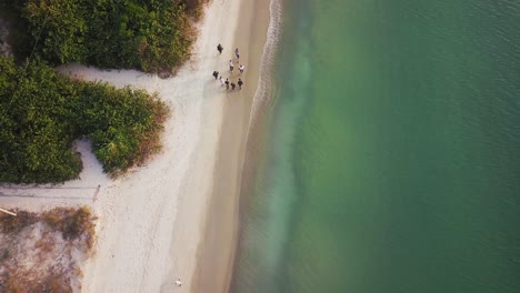 Aerial-Drone-Rising-Over-Group-of-People-Walking-on-the-Beach