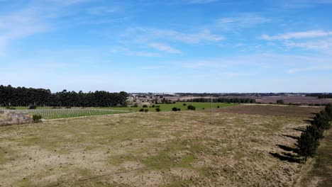 Aerial-video-of-the-field-on-a-sunny-day,-located-in-Canelones-Uruguay