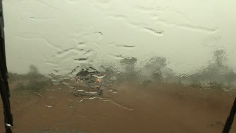POV:-High-winds-have-blown-over-a-tree-during-rain-storm,-fast-wipers