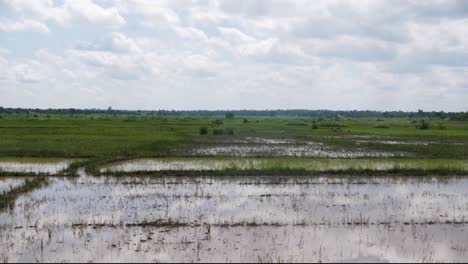 Blauer-Himmel,-Der-Sich-Im-Wasser-Zwischen-Sumpfland-In-Reisfeldern-Im-Osten-Ugandas-Widerspiegelt