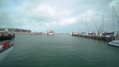 Pan-of-Harbor-With-Boats-Docked-and-Seagull-Flying-on-a-Cloudy-Day