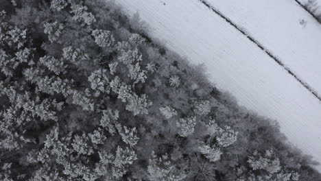 Aerial-Top-Down-Shot-of-Snowy-and-White-Farmland-in-Finland-Field
