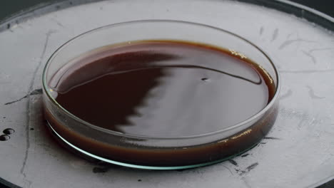 Science-experiment:-Brown-colored-water-starting-to-vibrate-and-forming-cymatic-forms-and-patterns