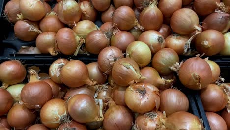 Cebollas-Orgánicas-Grandes-Frescas-En-La-Cesta