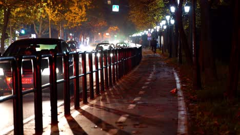 Night-scenery-with-cars-on-city-street-surrounded-by-railing-irons-and-park-road-lights-with-bokeh-in-perspective