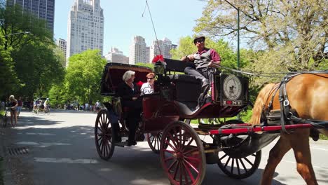 Touristen-Fahren-Mit-Einer-Kutsche-Im-Central-Park,-New-York-City