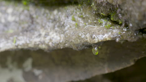 raindrops-from-mossy-rock-in-mountains