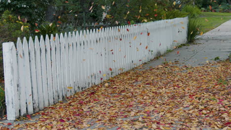 Autumn-leaves-on-sidewalk-in-front-of-white-picket-fence-with-falling-leaves