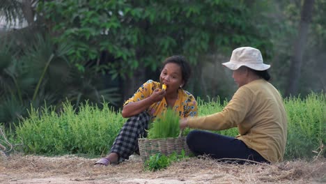 Kambodschanische-Damen-Saßen-Da-Und-Aßen-Obst,-Während-Sie-Auf-Dem-Feld-Kräuter-Pflückten