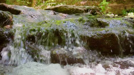 Tracking-Shot-Mountain-Stream-in-lush-woodland,slow-motion-footage