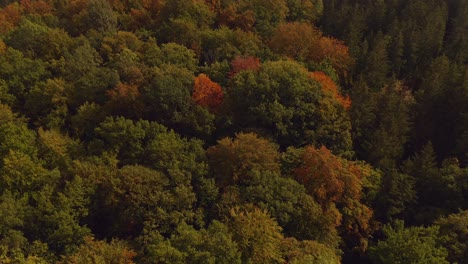 Look-up,-tilt-shot-of-a-drone-over-a-autumn-colored-forest-with-the-bavarian-metropole-Munich-in-the-backgrund-at-the-cloudy-horizon